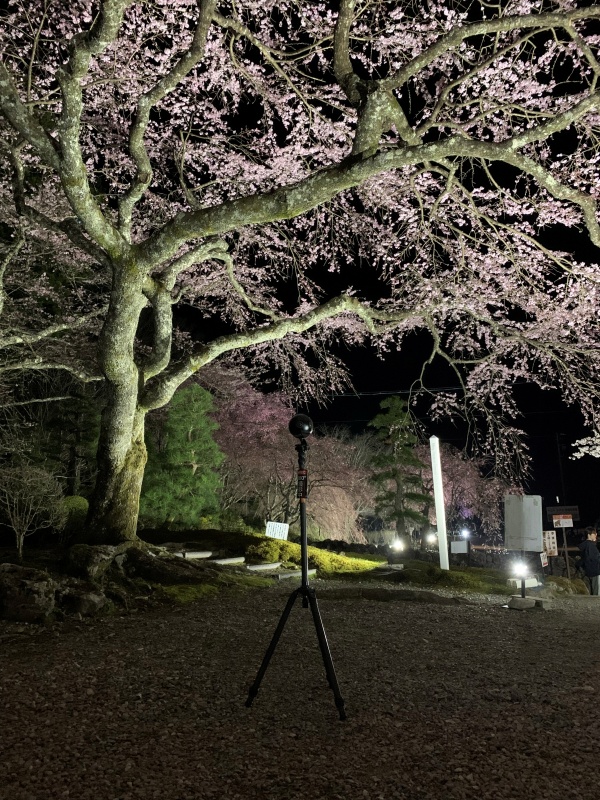 駒ヶ根市光前寺ライトアップ2025春・360°カメラ