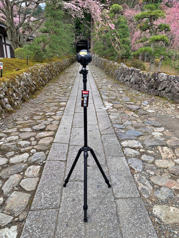 駒ヶ根市光前寺参道・360°カメラ